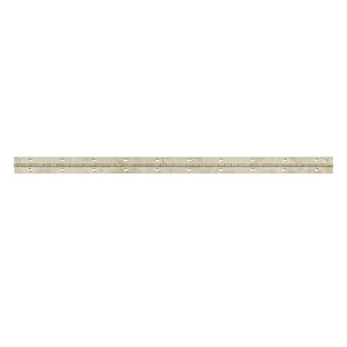Trio Continuous Hinge 31mm X 600mm Stainless Steel Pack of 1