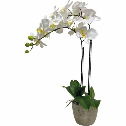 Botanicals Collection Artificial Two-Stem Orchid White