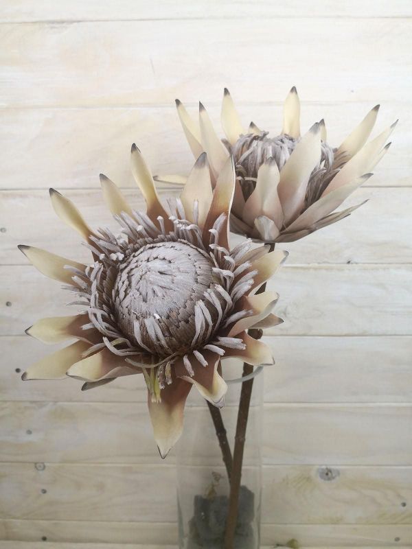 Artificial King Protea - Large Dry Look (Peach)