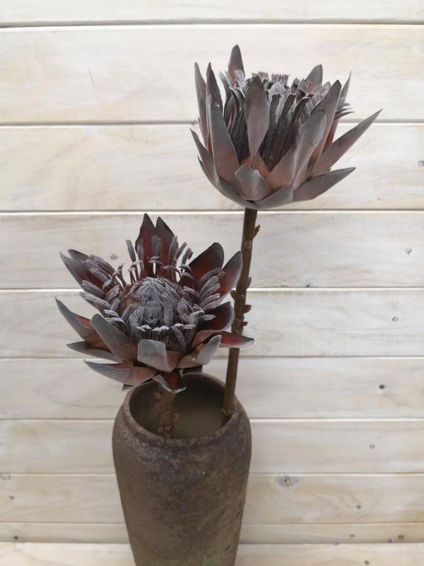 Artificial King protea - Dry look Small (Brown)