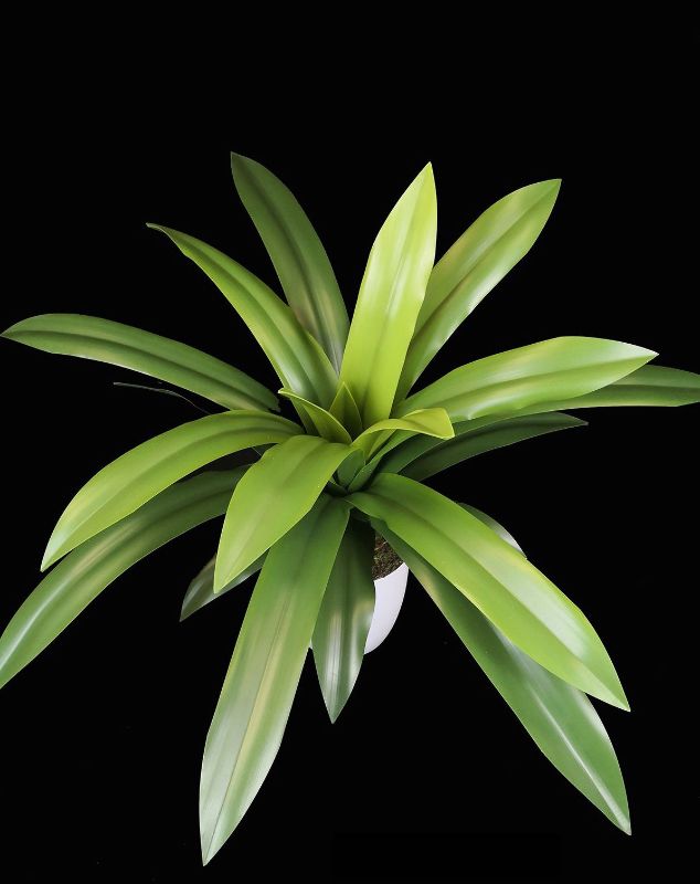 Artificial Soft Aloe - Real Touch (Large)