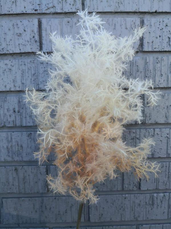 Artificial Moss Spray (Peach)