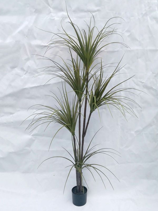 Artificial Dracaena Plant w/Pot (1.95m)