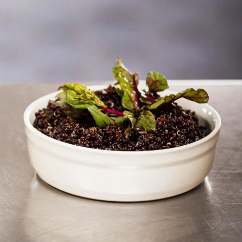 Emile Henry Cr?me Br?lée Ramekin 13cm - Clay