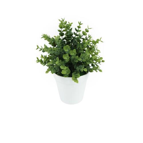 Botanicals Collection Artificial Eucalyptus Plant In Pot 11cm