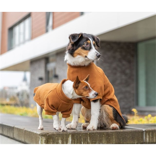 Sweatshirt for Dogs - Amsterdam XS/30cm (Rust)