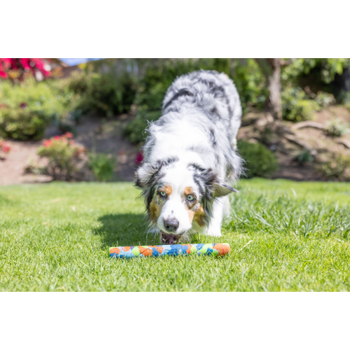 Eco Fetch Stick