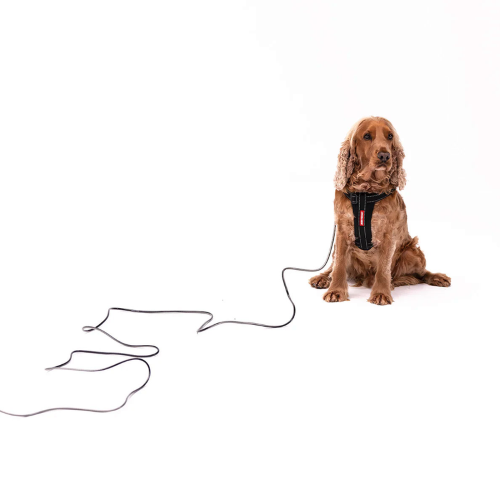ED Dog Collar - Slimline Track n Train Leash Black (10m)