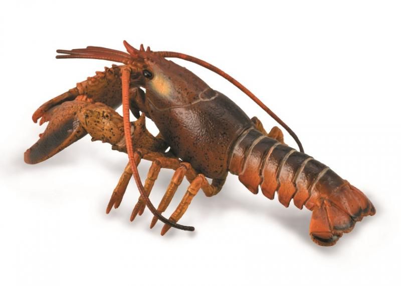 Collecta Figurine - Lobster DXL (15cm)