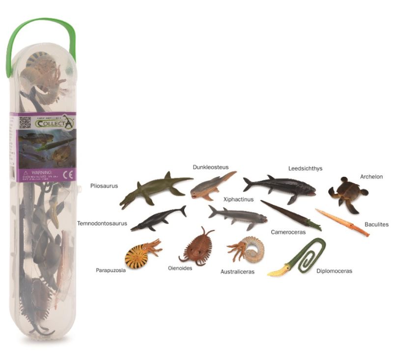 Box of CollectA's Mini Prehistoric Marine Animals featuring detailed figures for imaginative play and education.