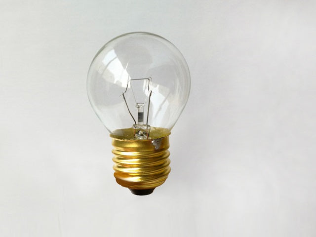 25 Watt Bulb E27 for SS Electric Oil Burner