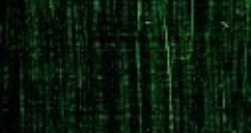 Artist Oil Paint - As Oil 150ml S2 Sap Green