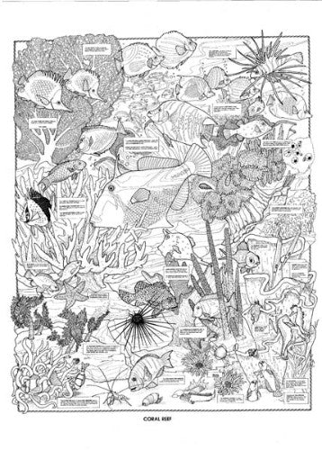 Vibrant pack of 10 Coral Reef doodle art posters for creative expression and imaginative projects for all ages.