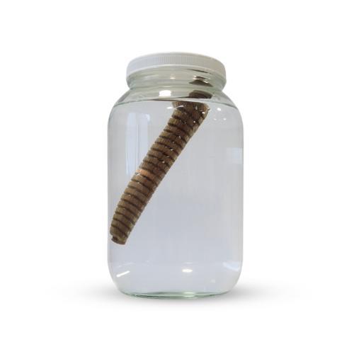 Handcraft Supplies 1 US Gallon Glass Jars with Lids 4 Pack
