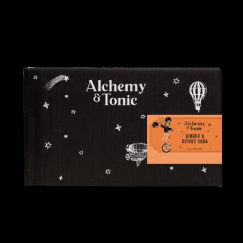 Drink Soda Ginger & Citrus 160ml 4 Pack - 6X4PC