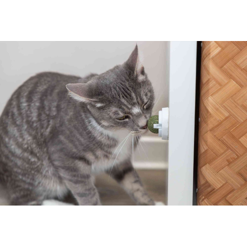 Catnip Ball with Adhesive Holder (5cm)