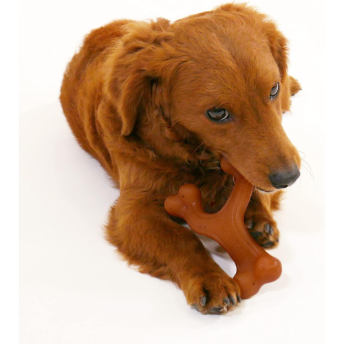 Dog Toy - Gourmet Chew Wishbone Bacon (Regular)