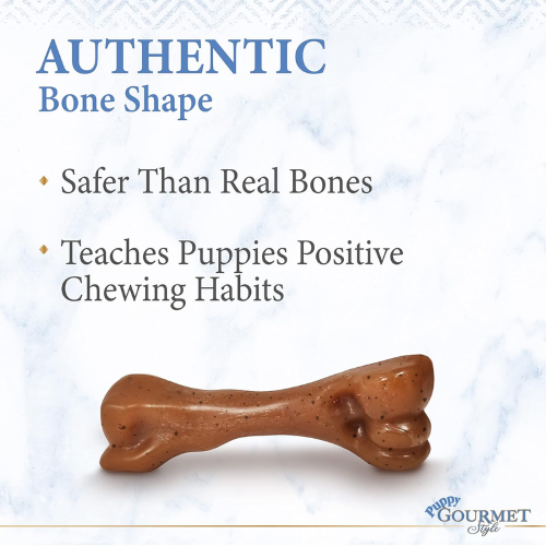 Dog Toy - Puppy Gourmet Chew Bacon Femur (Regular)