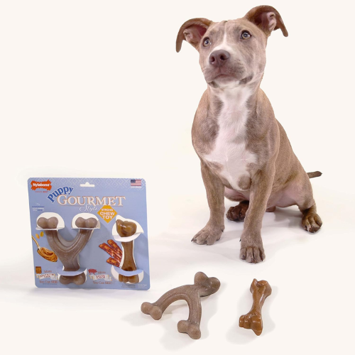 Dog Toy - Puppy Gourmet Twin Pack Wishbone/Femur