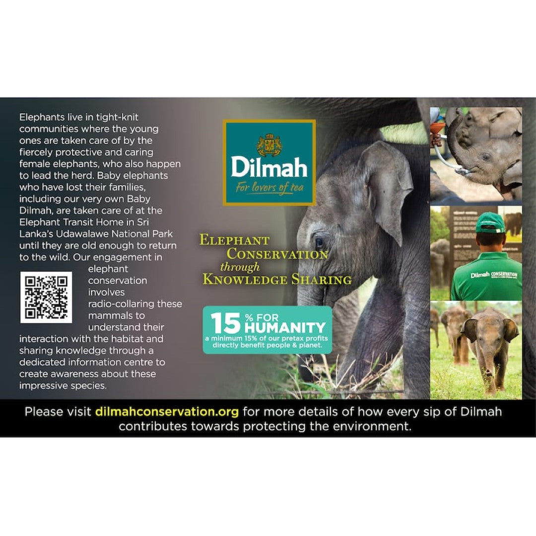 Dilmah Green Tea With Lemon & Lime Bags 20pack