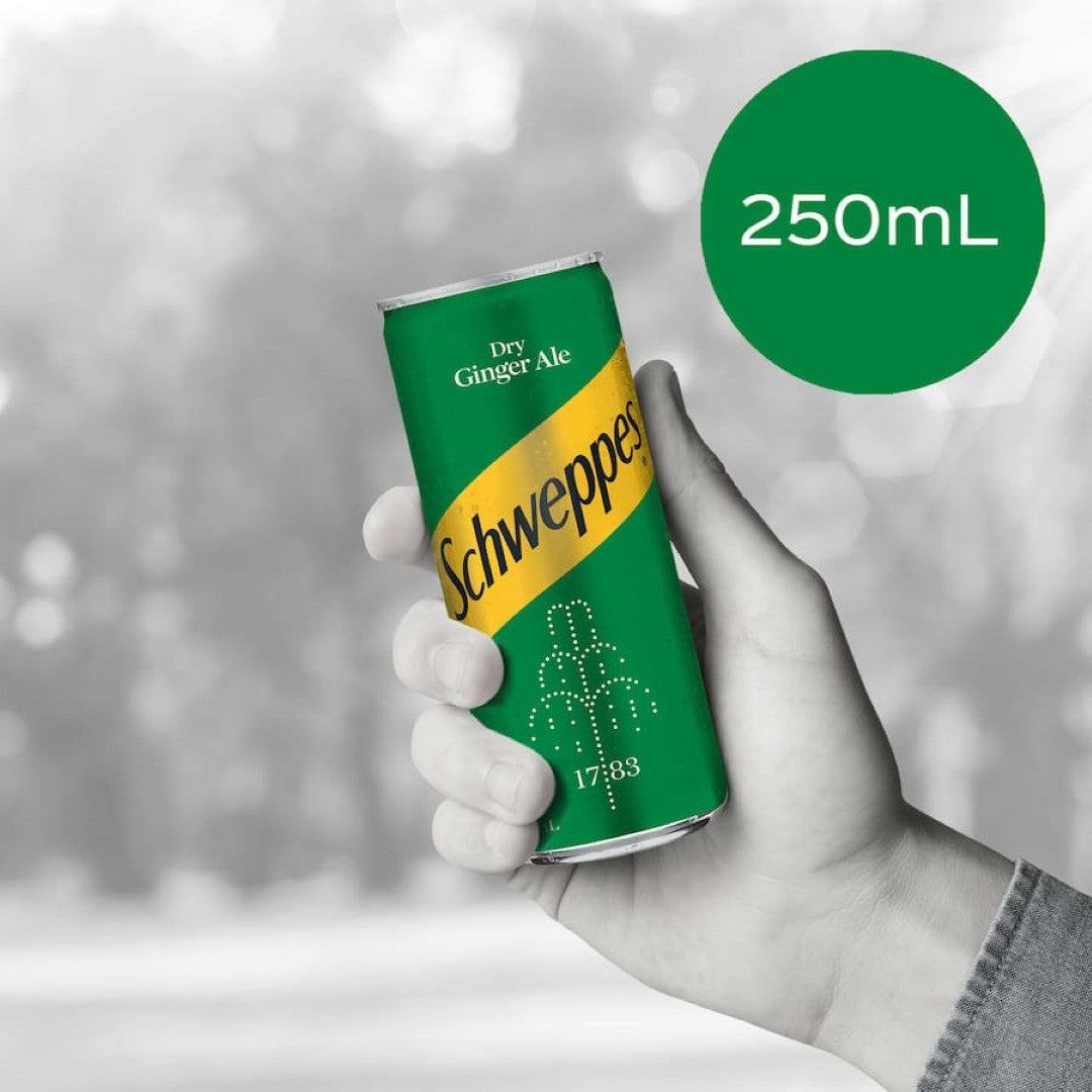 Schweppes Drink Mixers Dry Ginger Ale 250ml cans 6pack