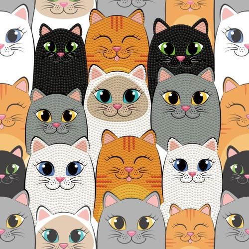 Diamond Dotz Dotz Box Large - Cat Clan