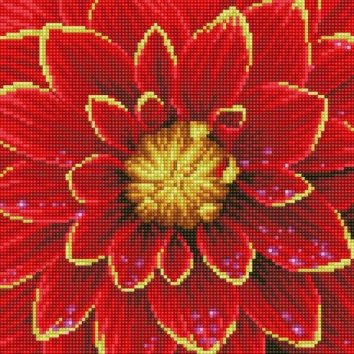 Diamond Dotz Diamond Kit - Dahlia 30x30cm