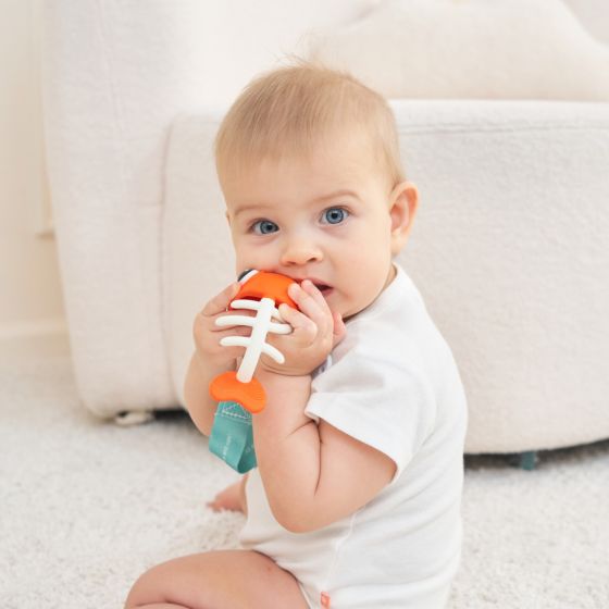 Clownfish Soothing Teether Toy - Mombella