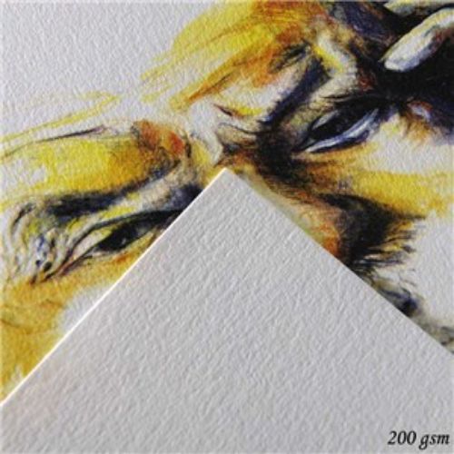 C A Grain 50x65 drawing paper, acid-free, durable, fine grain texture, ideal for various artistic techniques, pack of 50.