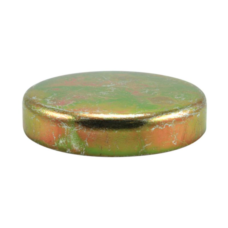 Champion 22mm Steel Expansion (Frost) Plug -Cup Type -5pk