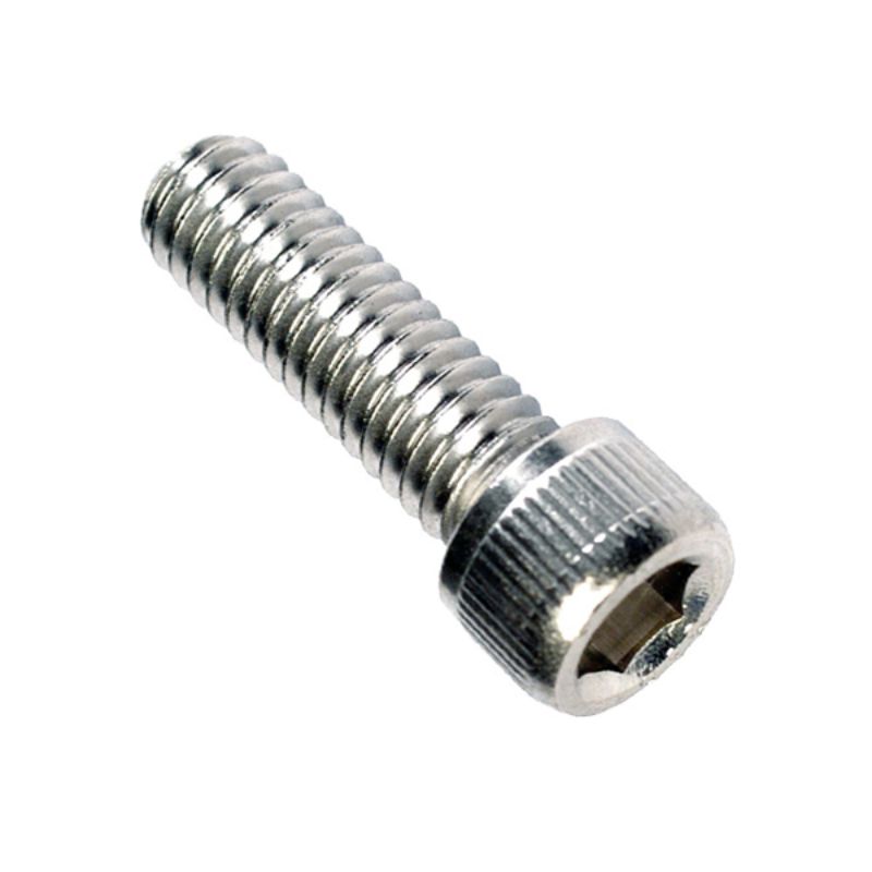 Champion 1/4in x 1in BSW Socket Cap Screw 316/A4 -6pk
