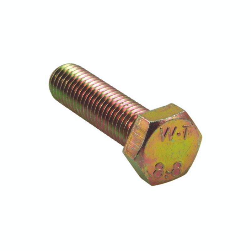 Champion M6 x 25mm x 1.00 Set Screw -Gr.8.8 -10pk