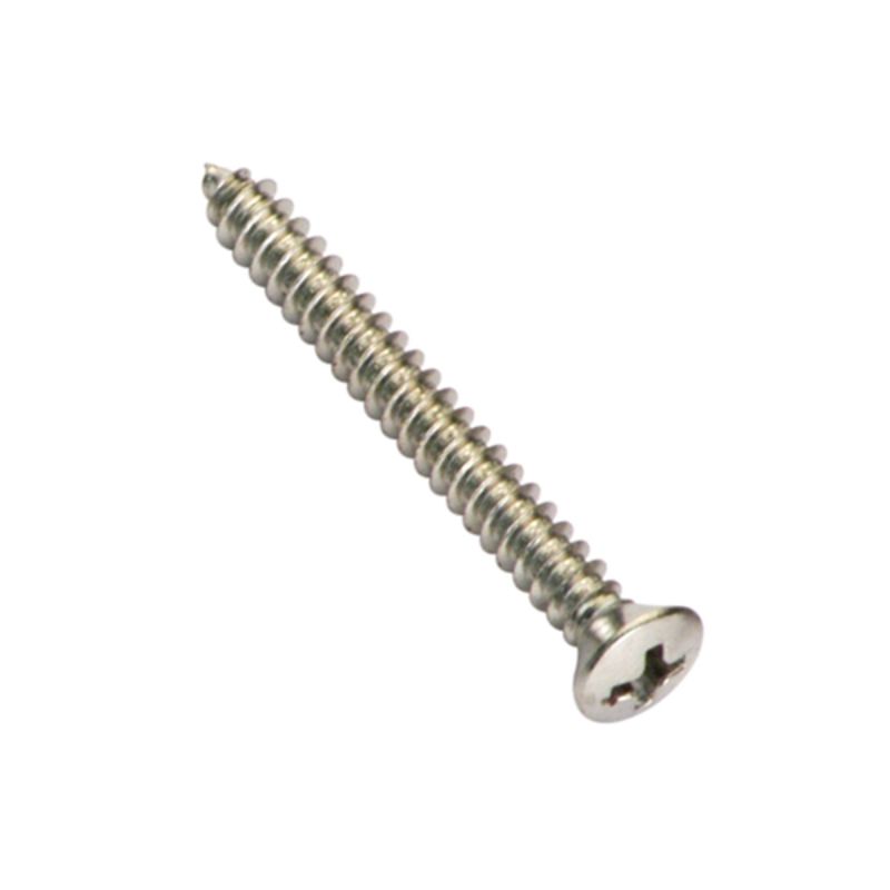 Champion 6G x 1in S/Tapping Screw Rsd HD Phillips - 100pk