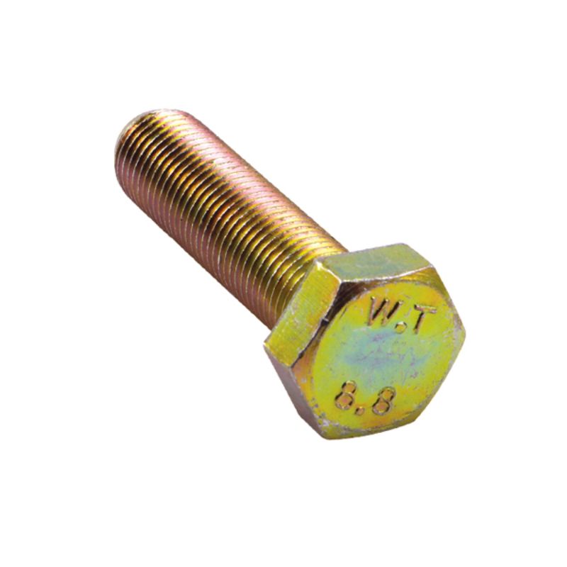 Champion M8 x 50mm x 1.25 Bolt -Gr8.8 -8pk