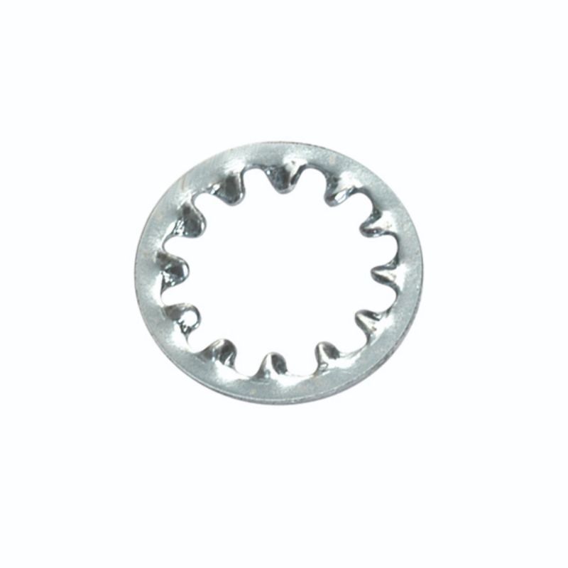 Champion 1/4in internal Star Washer -50pk