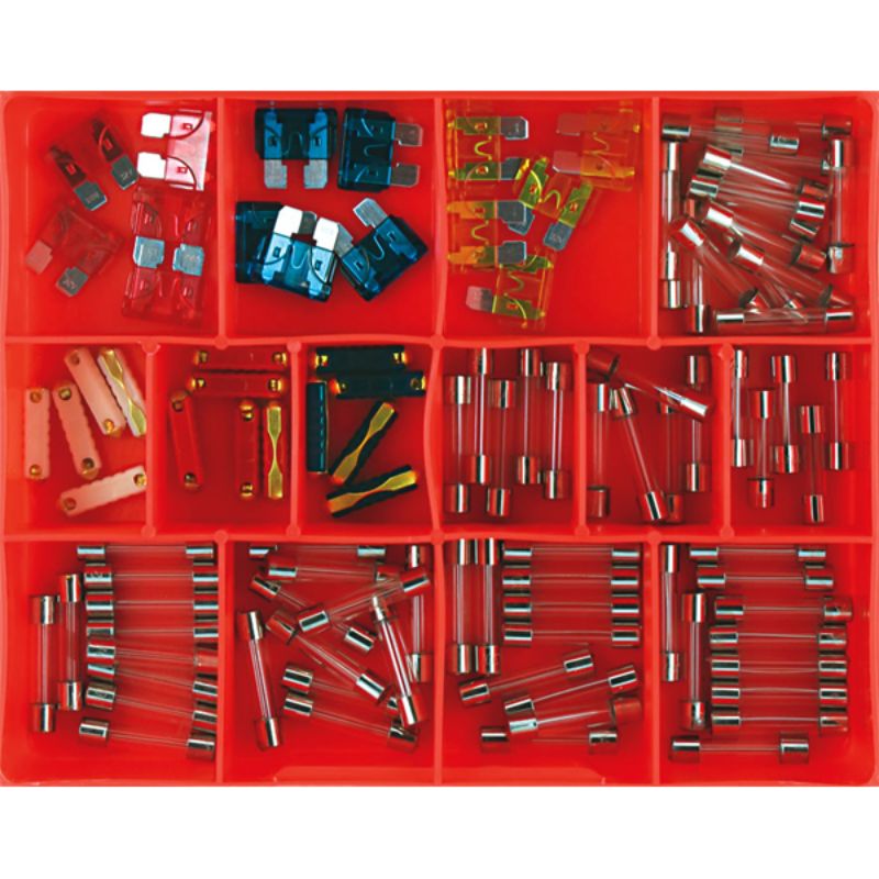 Champion 100pc Auto Fuse Assortment (Glass, Blade & Euro)