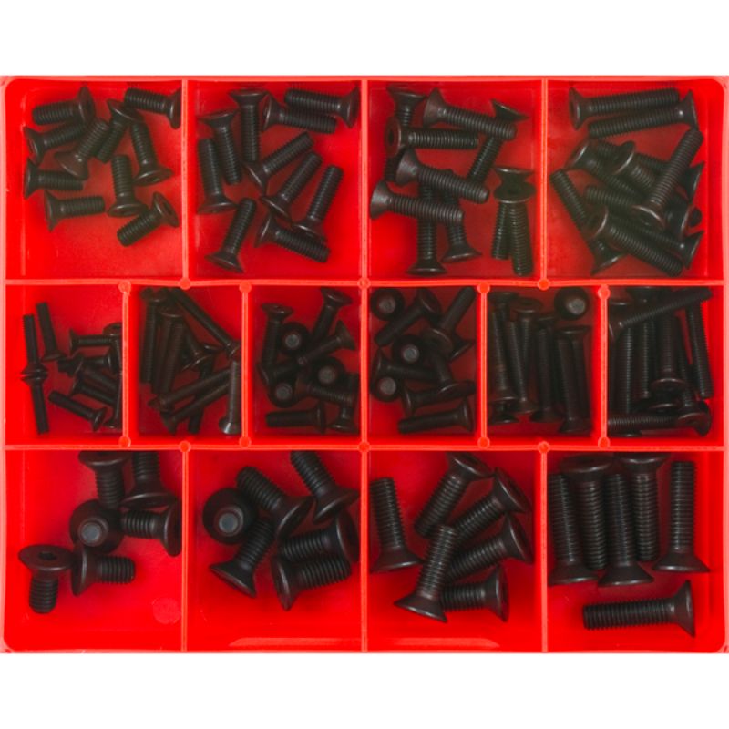 Champion 124pc Metric CSK Socket Head Cap Screw Assortment