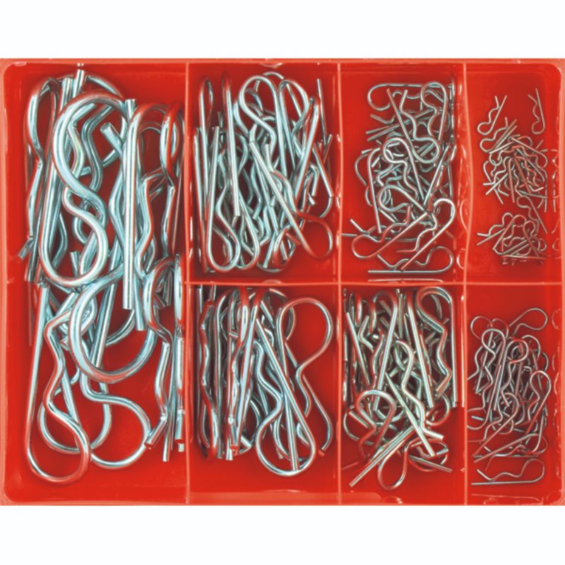 Champion 124pc R-Clip Assortment (Zinc Plated)