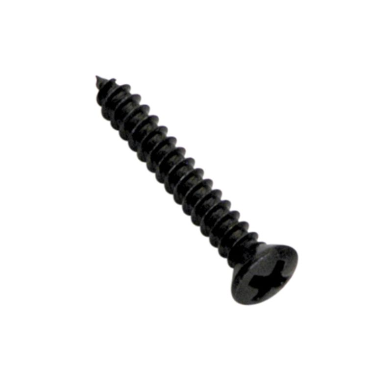Champion 8G x 3/4in S/Tapping Screw Raised Head PH - 100pk