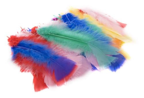 DAS Feathers Assorted Colours Pack of 45