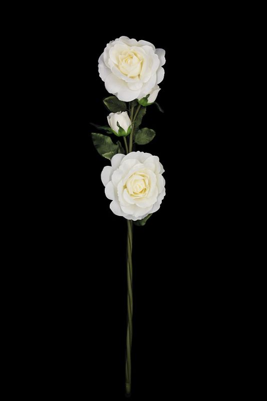 XL Four Head Rose Stem - White - Set of 2