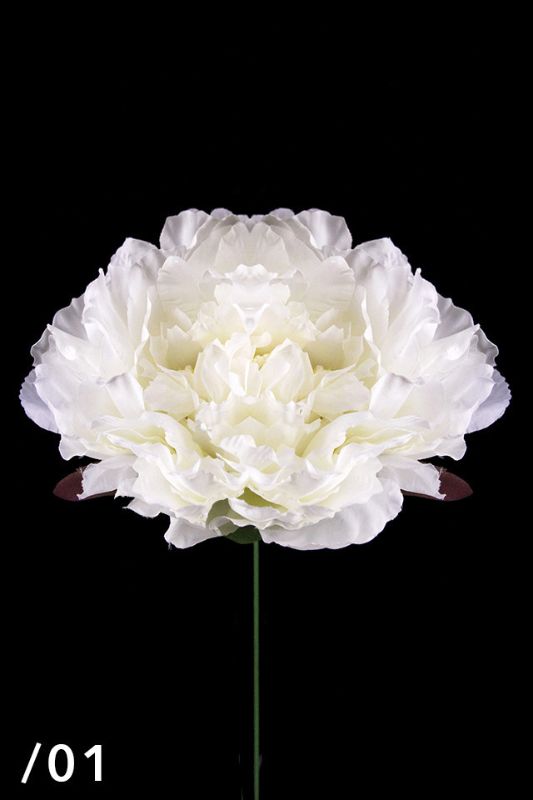 Artificial Large Single Head Peony - White - Set of 20