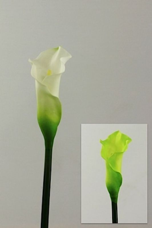 Artificial Large Calla Lily - Lime - Set of 12
