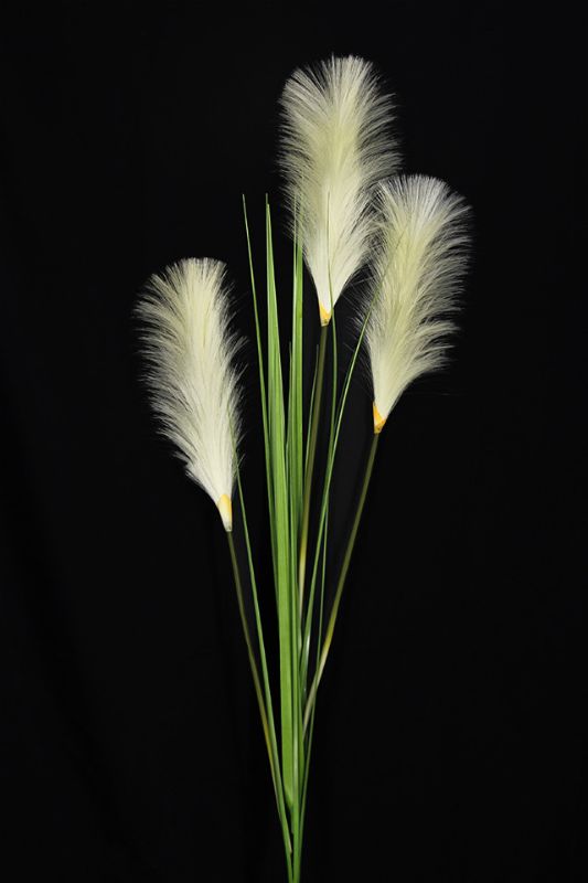 Artificial Artificial Pampas Grass with 3 Heads - Ivory - Set of 5