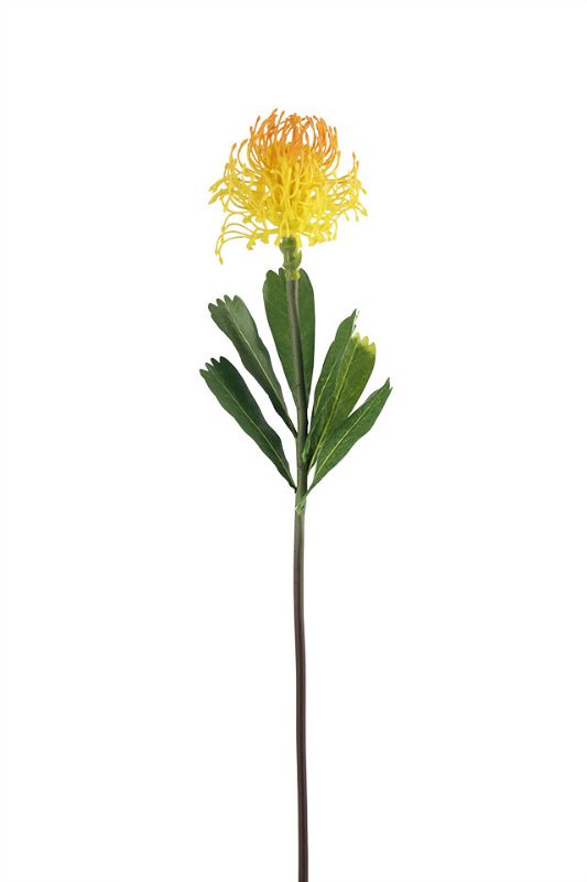 Artificial Sugarbush Protea - Yellow Orange - Set of 6