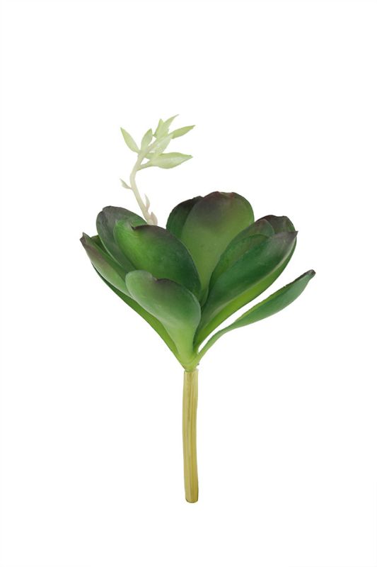 Artificial Desert Rose Succulent x 12 petals - Mid Green - Set of 6