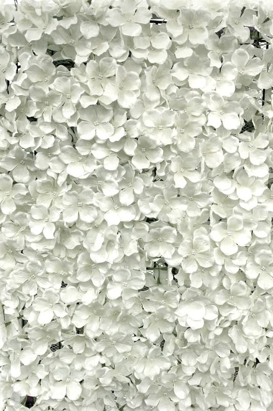 Hydrangea Panel White - White