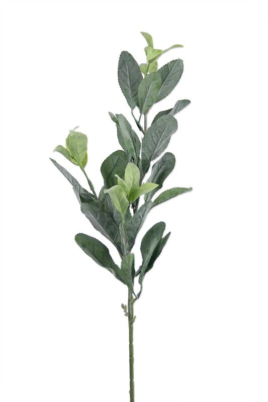 Artificial Dusty Green Leaf Spray - Sage - Set of 6