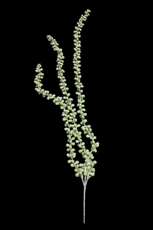 Artificial Trailing String of Pearls - Sage - Set of 6