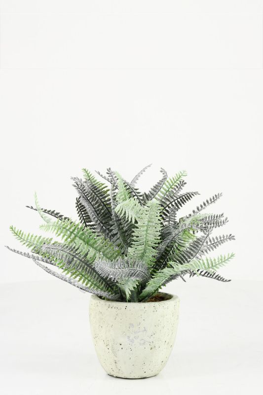 Artificial Potted Boston Fern - Mid Green - Set of 6